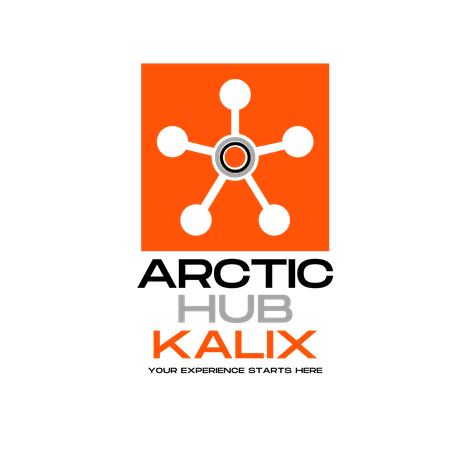 ARCTIC HUB